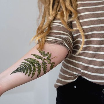 Fern tattoo