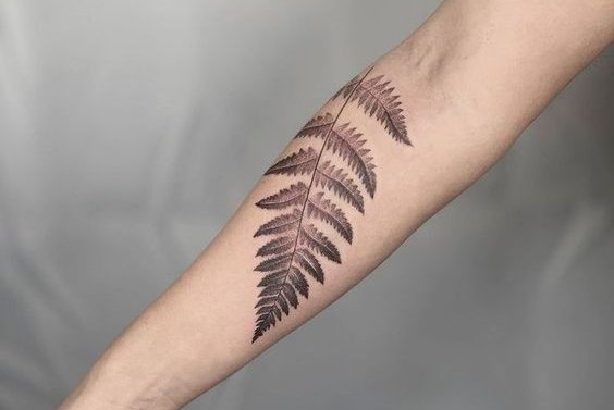 Fern tattoo