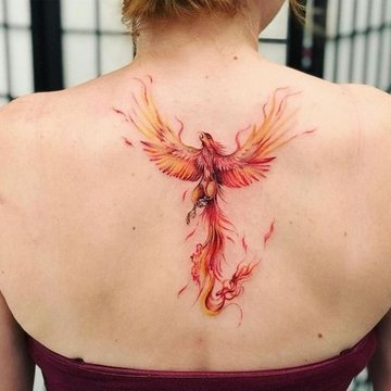 Phoenix tattoo