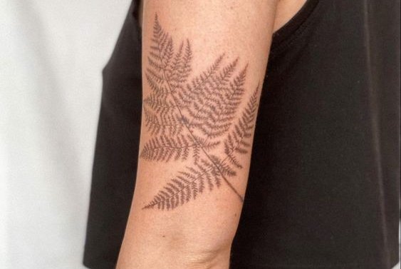 Fern tattoo