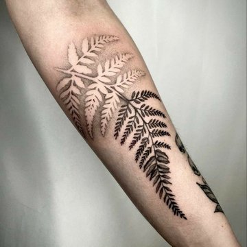Fern tattoo