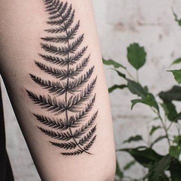 Fern tattoo