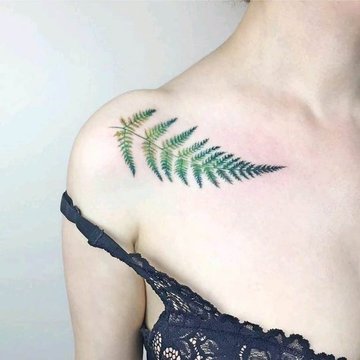 Fern tattoo
