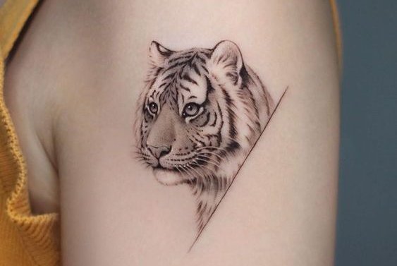 Tiger tattoo