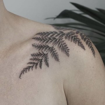 Fern tattoo