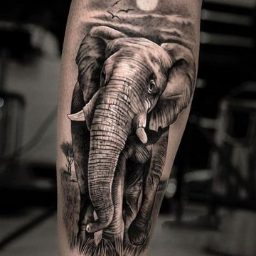 Elephant tattoo