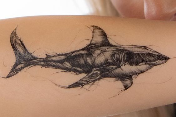 Shark tattoo