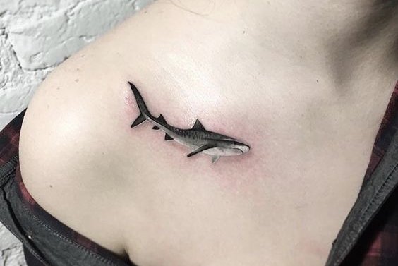 Shark tattoo