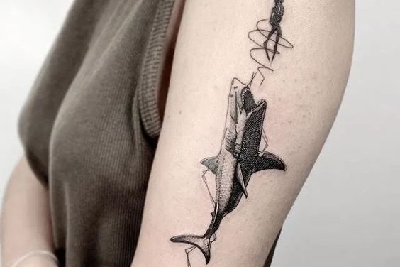 Shark tattoo