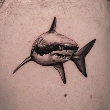 Shark tattoo
