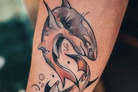 Shark tattoo