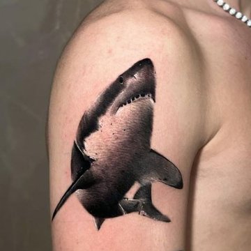 Shark tattoo