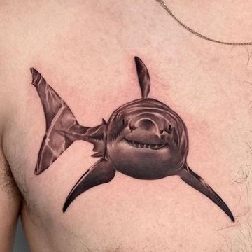 Shark tattoo