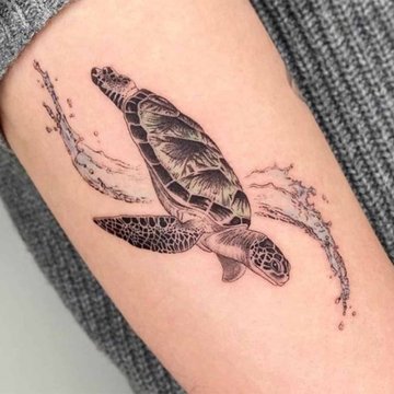 Turtle Tattoo designs