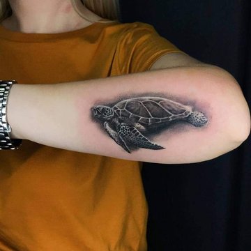 Turtle Tattoo designs