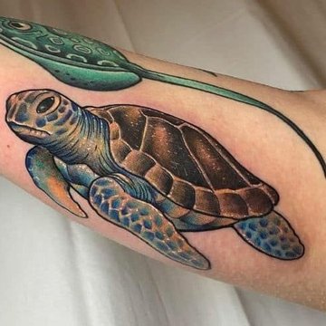 Turtle Tattoo designs