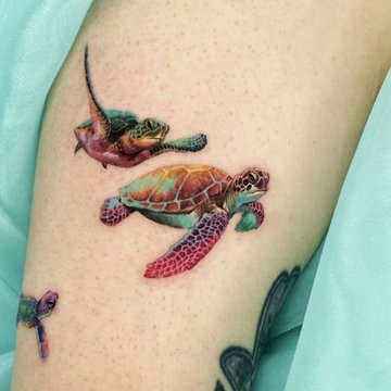 Turtle Tattoo designs