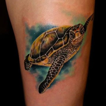 Turtle Tattoo designs