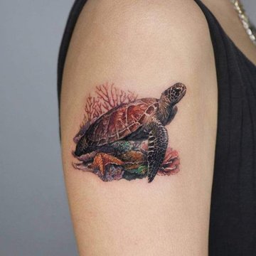 Turtle Tattoo designs