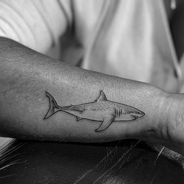 Shark tattoo