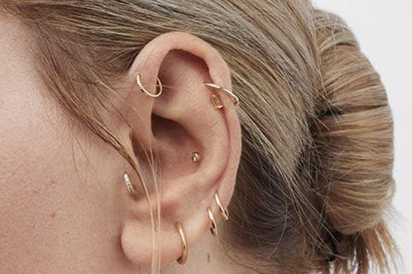 Forward helix piercing with gold hoops T