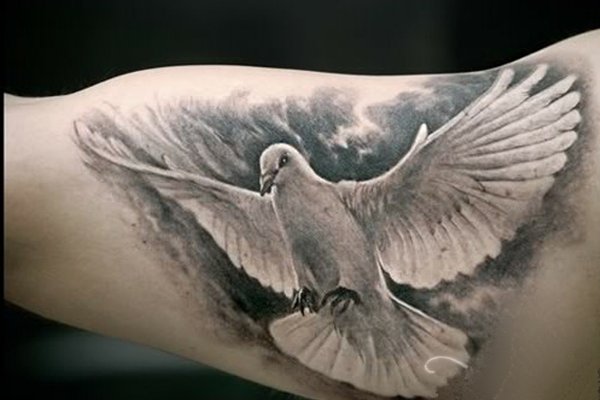 Dove tattoo