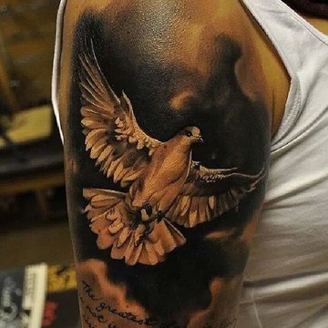 Dove tattoo designs
