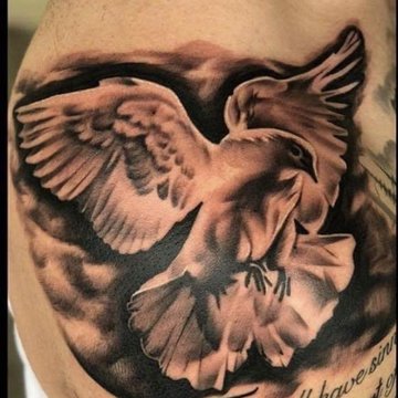 Dove tattoo designs