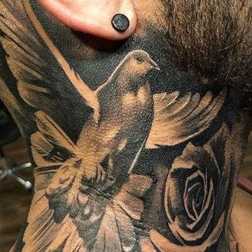 Dove tattoo designs