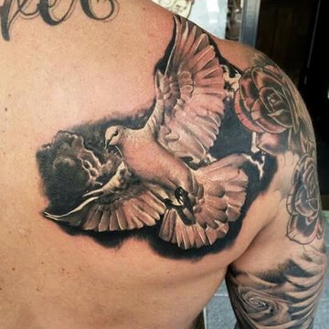 Dove tattoo designs