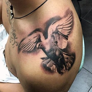 Dove tattoo designs