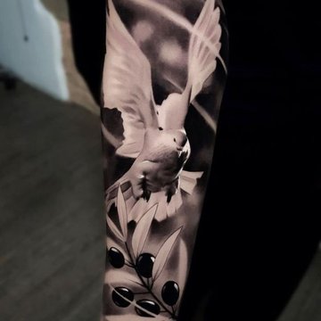 Dove tattoo designs