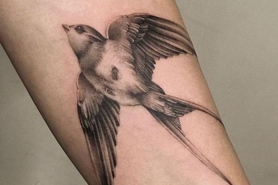 swallow tattoo design