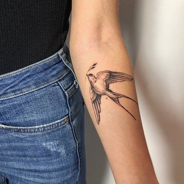 swallow tattoo design