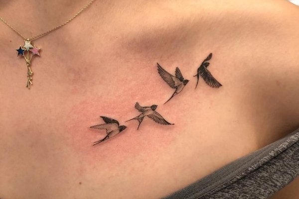 swallow tattoo design