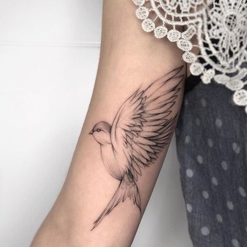 swallow tattoo design