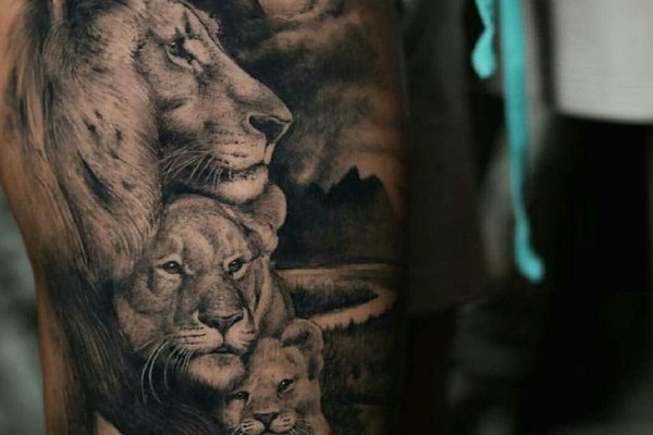 lion tattoo designs