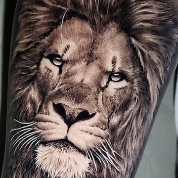 lion tattoo designs