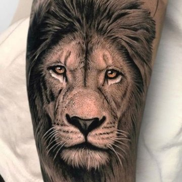 lion tattoo designs