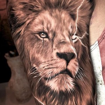 lion tattoo designs