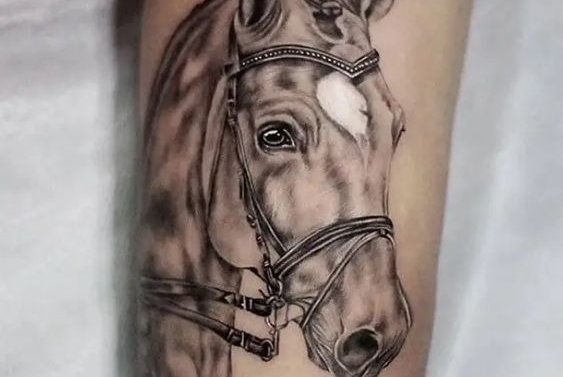 horse tattoo ideas