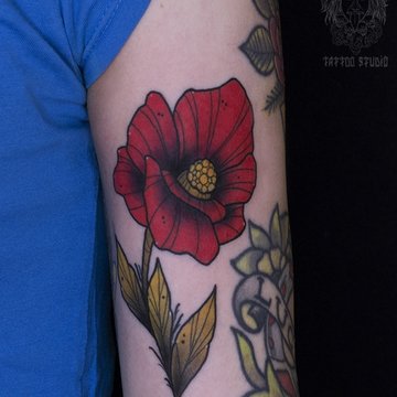 Poppy Tattoo