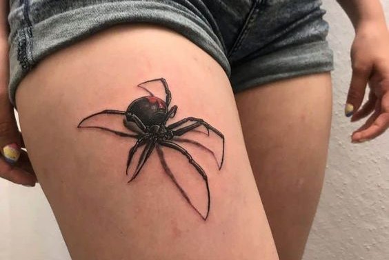 Spider tattoo