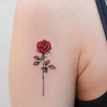 rose tattoo design