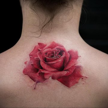 rose tattoo design