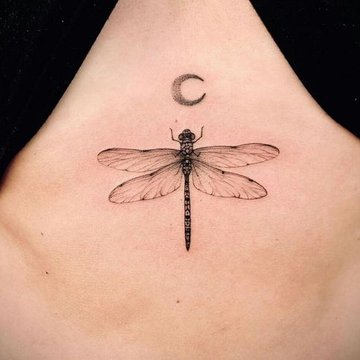 Dragonfly tattoo designs