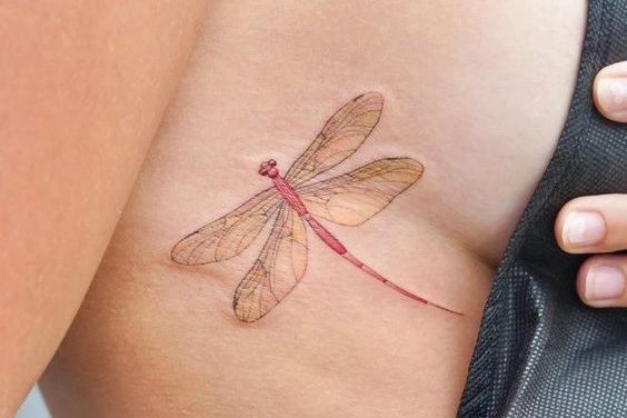 Dragonfly tattoo