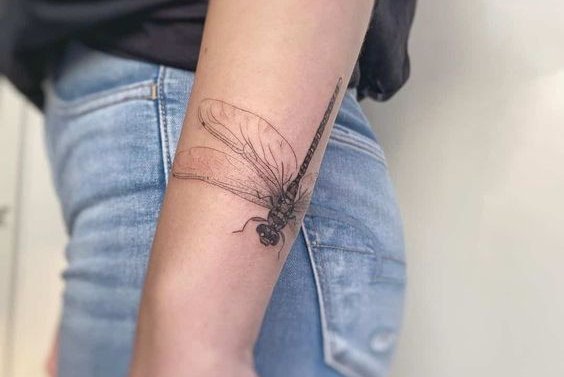 Dragonfly tattoo