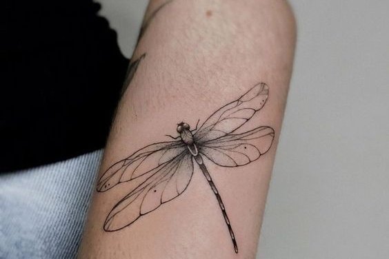 Dragonfly tattoo