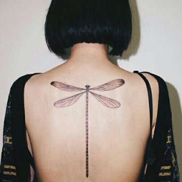 Dragonfly tattoo designs
